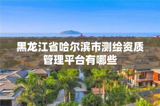 黑龙江省哈尔滨市测绘资质管理平台有哪些