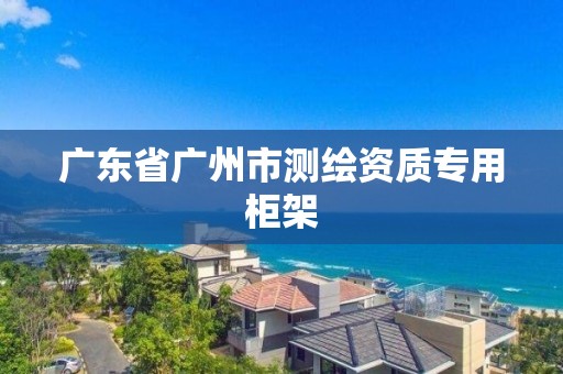 广东省广州市测绘资质专用柜架