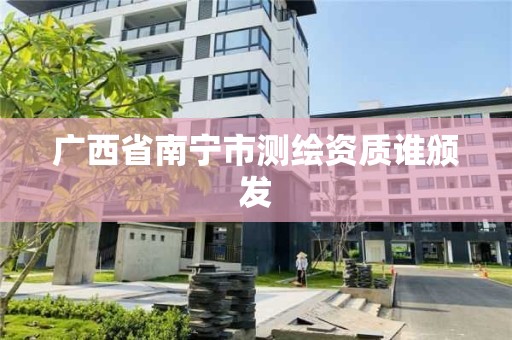 广西省南宁市测绘资质谁颁发