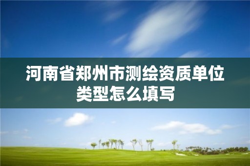 河南省郑州市测绘资质单位类型怎么填写