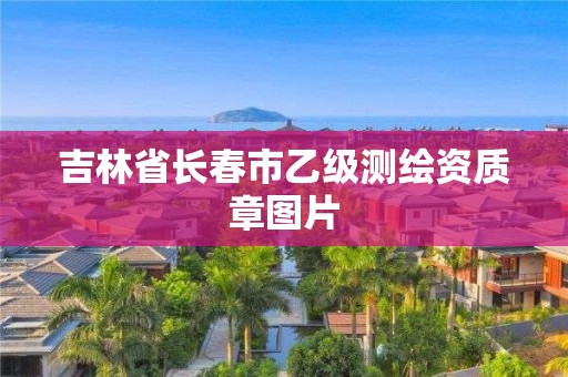 吉林省长春市乙级测绘资质章图片