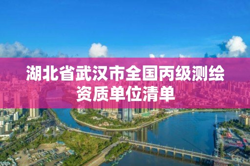 湖北省武汉市全国丙级测绘资质单位清单