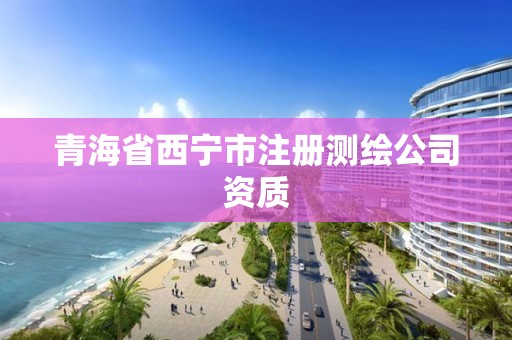 青海省西宁市注册测绘公司资质