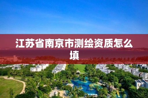 江苏省南京市测绘资质怎么填