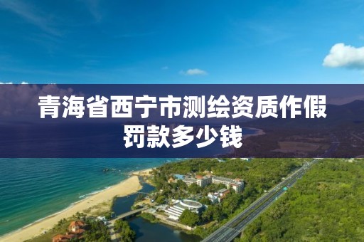 青海省西宁市测绘资质作假罚款多少钱