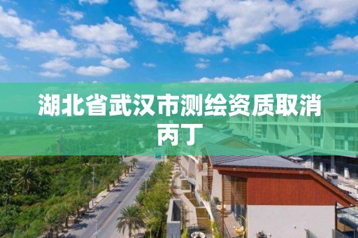 湖北省武汉市测绘资质取消丙丁