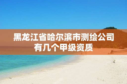 黑龙江省哈尔滨市测绘公司有几个甲级资质