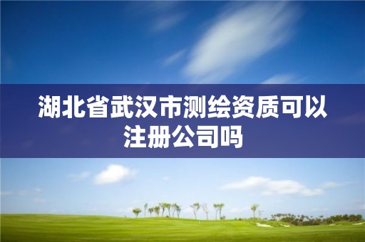 湖北省武汉市测绘资质可以注册公司吗