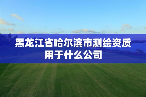 黑龙江省哈尔滨市测绘资质用于什么公司