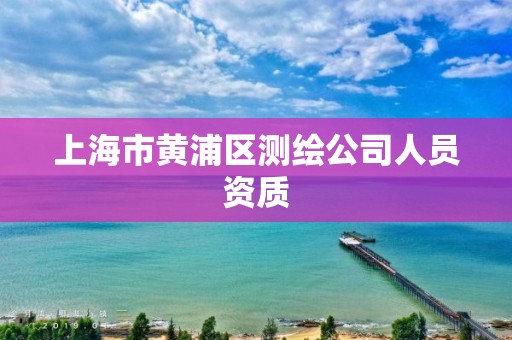 上海市黄浦区测绘公司人员资质