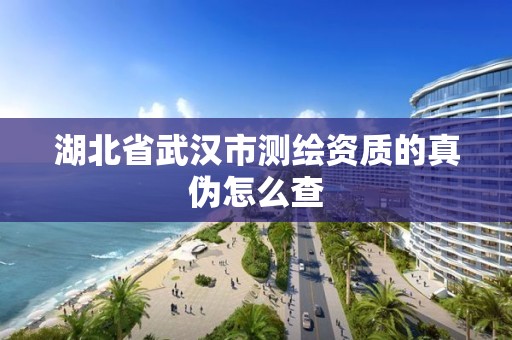 湖北省武汉市测绘资质的真伪怎么查