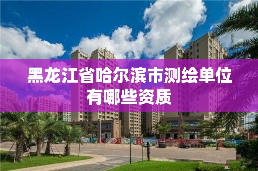 黑龙江省哈尔滨市测绘单位有哪些资质