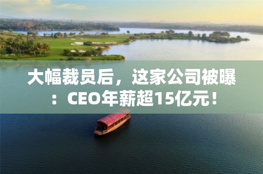 大幅裁员后，这家公司被曝：CEO年薪超15亿元！