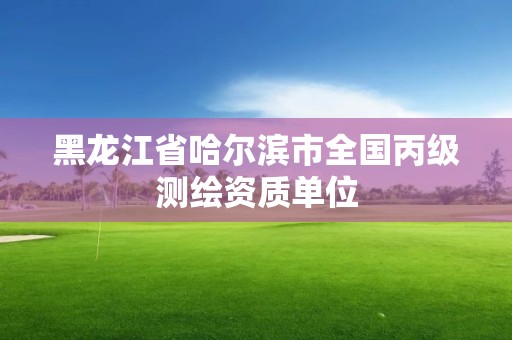 黑龙江省哈尔滨市全国丙级测绘资质单位