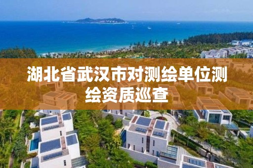 湖北省武汉市对测绘单位测绘资质巡查