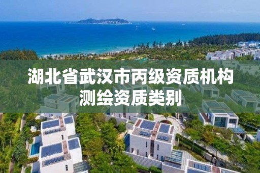 湖北省武汉市丙级资质机构测绘资质类别