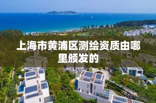 上海市黄浦区测绘资质由哪里颁发的