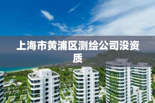 上海市黄浦区测绘公司没资质