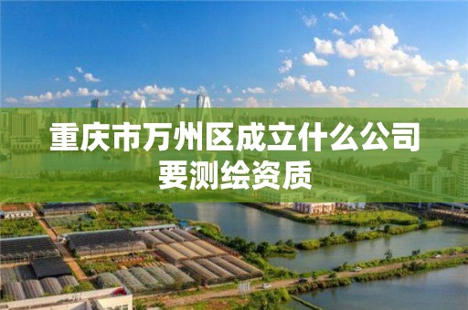 重庆市万州区成立什么公司要测绘资质