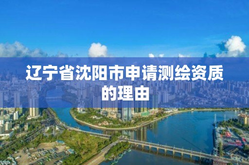 辽宁省沈阳市申请测绘资质的理由