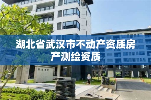 湖北省武汉市不动产资质房产测绘资质