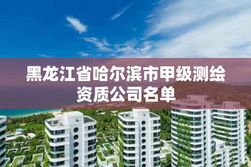 黑龙江省哈尔滨市甲级测绘资质公司名单