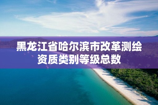 黑龙江省哈尔滨市改革测绘资质类别等级总数