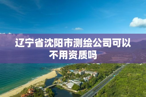 辽宁省沈阳市测绘公司可以不用资质吗