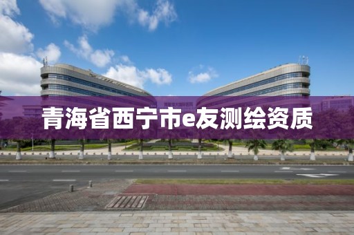 青海省西宁市e友测绘资质