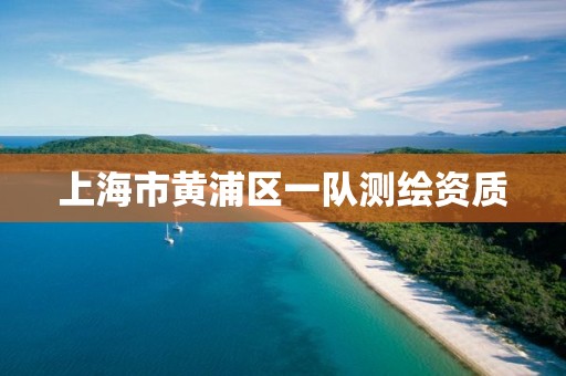 上海市黄浦区一队测绘资质