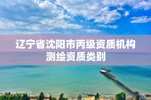 辽宁省沈阳市丙级资质机构测绘资质类别