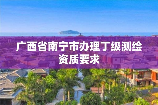 广西省南宁市办理丁级测绘资质要求