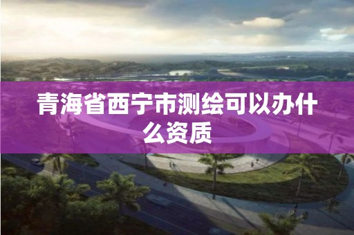 青海省西宁市测绘可以办什么资质