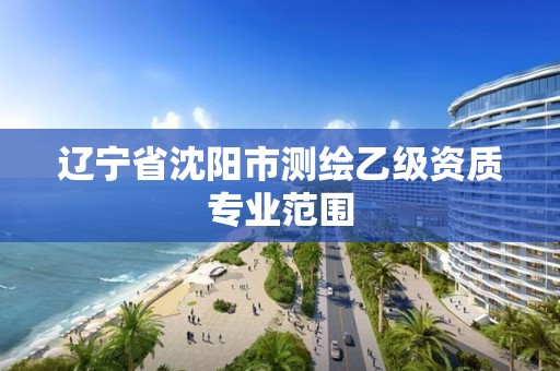 辽宁省沈阳市测绘乙级资质专业范围