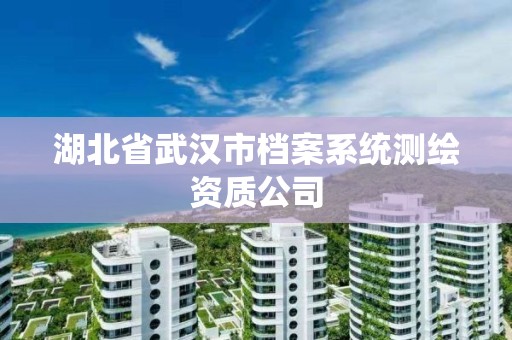 湖北省武汉市档案系统测绘资质公司