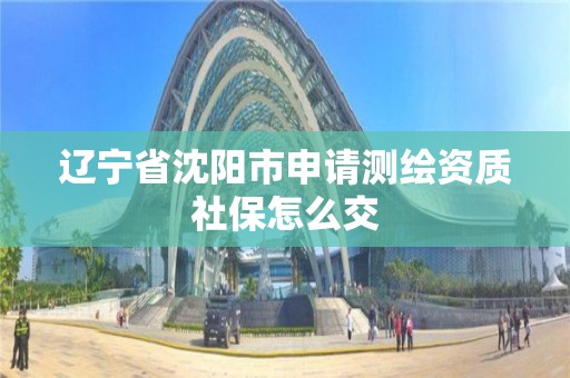 辽宁省沈阳市申请测绘资质社保怎么交