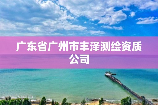 广东省广州市丰泽测绘资质公司