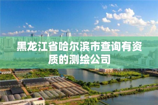 黑龙江省哈尔滨市查询有资质的测绘公司