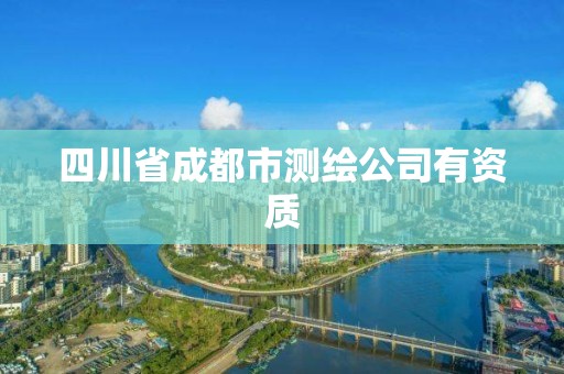 四川省成都市测绘公司有资质