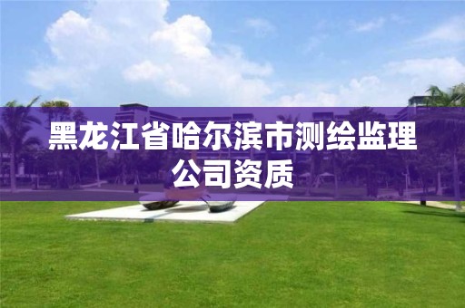 黑龙江省哈尔滨市测绘监理公司资质