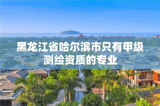 黑龙江省哈尔滨市只有甲级测绘资质的专业