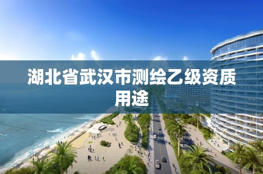 湖北省武汉市测绘乙级资质用途