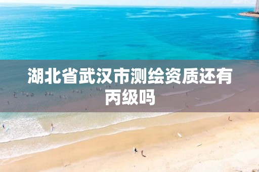 湖北省武汉市测绘资质还有丙级吗