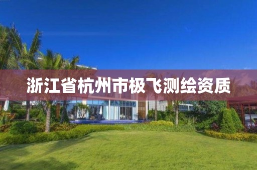 浙江省杭州市极飞测绘资质