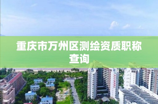 重庆市万州区测绘资质职称查询