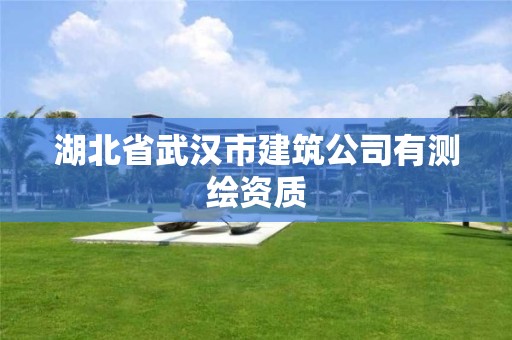 湖北省武汉市建筑公司有测绘资质