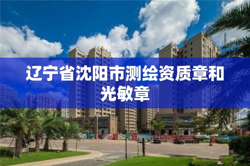 辽宁省沈阳市测绘资质章和光敏章