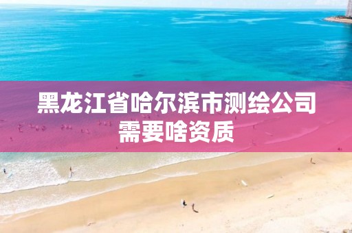 黑龙江省哈尔滨市测绘公司需要啥资质