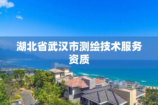 湖北省武汉市测绘技术服务资质