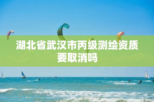 湖北省武汉市丙级测绘资质要取消吗